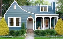 Gold Mop Threadleaf Cypress - 1 Gallon Pot -Outlet The Ever Garden Store chamaecyparis pisifera gold mop cypress 105 1