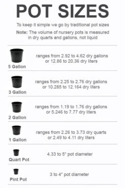 Featured Products -Outlet The Ever Garden Store pot size chart 2022 488
