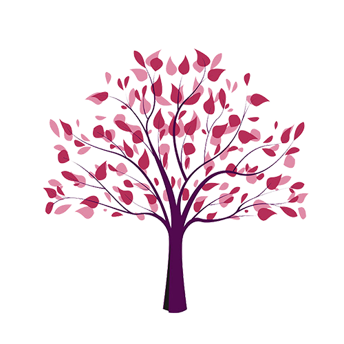 Outlet The Ever Garden Store