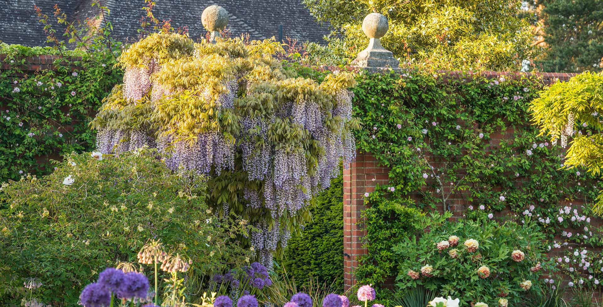 Outlet The Ever Garden Store -Outlet The Ever Garden Store q 11